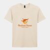 Softstyle™ adult ringspun t-shirt Thumbnail