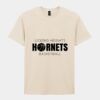 Softstyle™ adult ringspun t-shirt Thumbnail