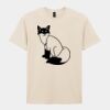 Softstyle™ adult ringspun t-shirt Thumbnail