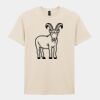 Softstyle™ adult ringspun t-shirt Thumbnail
