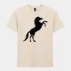 Softstyle™ adult ringspun t-shirt Thumbnail