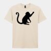 Softstyle™ adult ringspun t-shirt Thumbnail