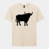 Softstyle™ adult ringspun t-shirt Thumbnail