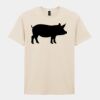 Softstyle™ adult ringspun t-shirt Thumbnail