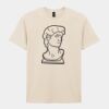 Softstyle™ adult ringspun t-shirt Thumbnail