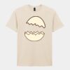 Softstyle™ adult ringspun t-shirt Thumbnail