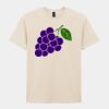 Softstyle™ adult ringspun t-shirt Thumbnail