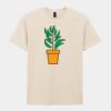 Softstyle™ adult ringspun t-shirt Thumbnail