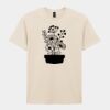 Softstyle™ adult ringspun t-shirt Thumbnail