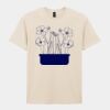 Softstyle™ adult ringspun t-shirt Thumbnail
