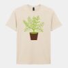 Softstyle™ adult ringspun t-shirt Thumbnail