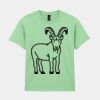 Heavy Cotton™ youth t-shirt Thumbnail