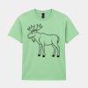 Heavy Cotton™ youth t-shirt Thumbnail