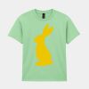 Heavy Cotton™ youth t-shirt Thumbnail