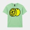 Heavy Cotton™ youth t-shirt Thumbnail